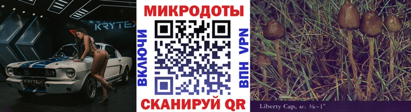 Галлюциногенные грибы Psilocybine cubensis Новая Усмань